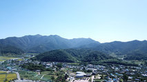 수인산