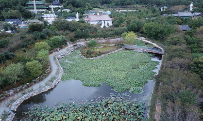 하늘에서본 전경