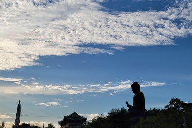 강진 서부해당화 봄꽃축제